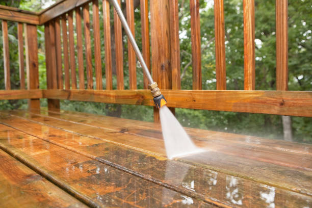 Best Fence Cleaning  in Wakeeney, KS